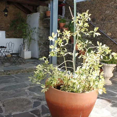 农家乐 Casal De Castro 米兰德拉